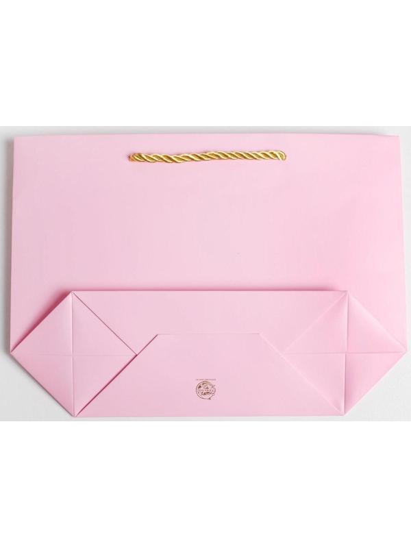 Пакет подарочный «Best wishes», 28 х 20 х 9 см