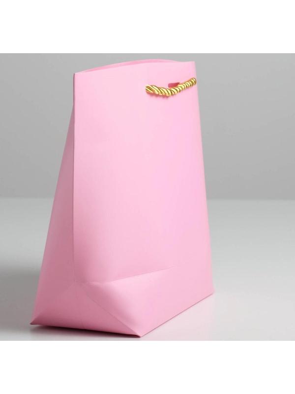 Пакет подарочный «Best wishes», 28 х 20 х 9 см