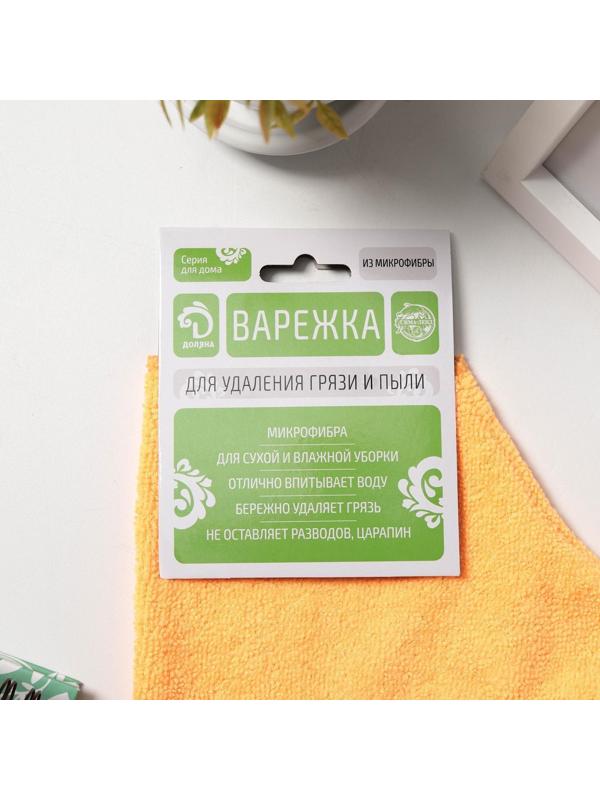 Варежка для уборки Доляна, 19×26 см, 15 гр, двухсторонняя, эконом, микрофибра