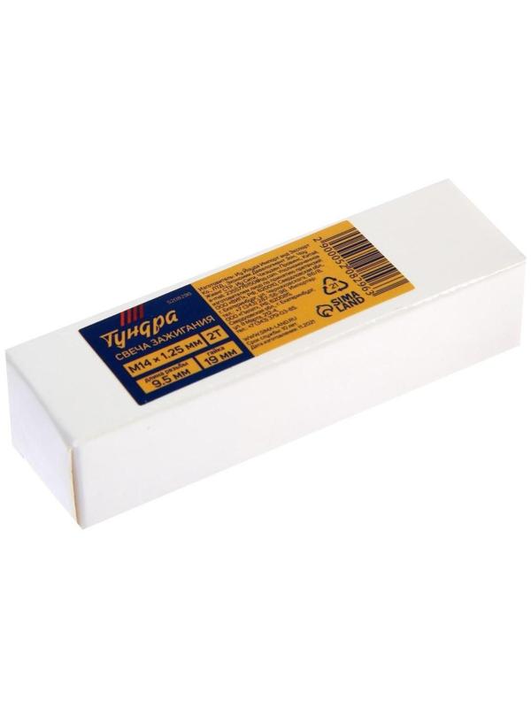 Свеча зажигания ТУНДРА, 2Т, M14 х 1.25 мм, длина резьбы 9.5 мм, 19 мм