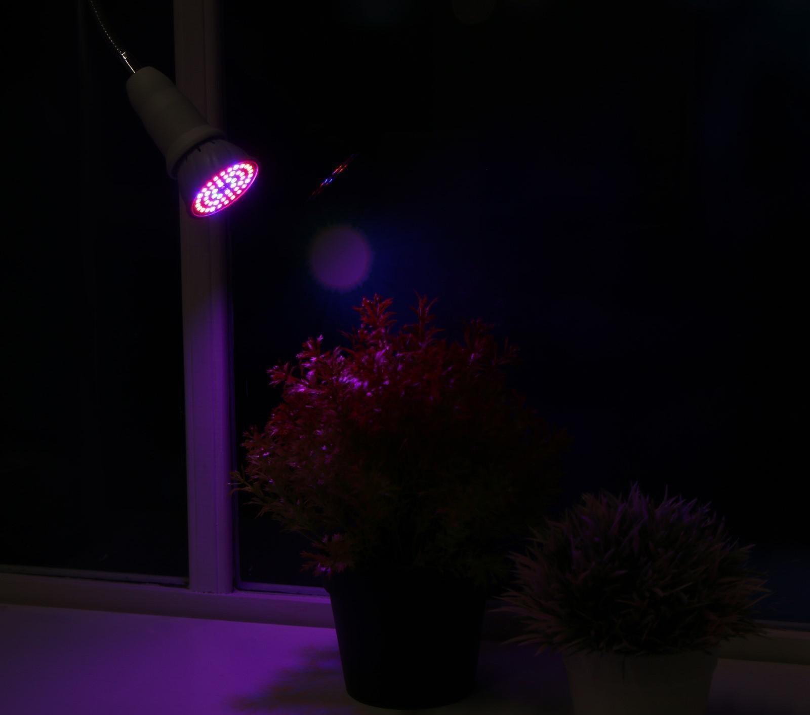 Фитолампа светодиодная Luazon, E27, 3.5 Вт, IP44, 220 В, биколорная