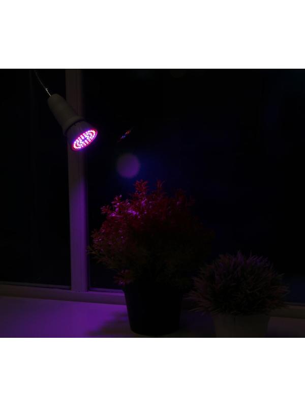 Фитолампа светодиодная Luazon, E27, 3.5 Вт, IP44, 220 В, биколорная