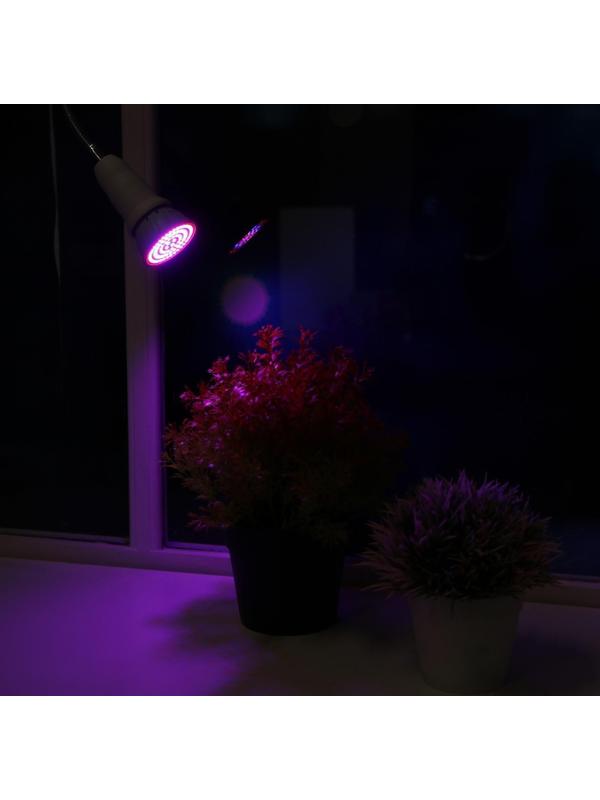 Фитолампа светодиодная Luazon, E27, 6 Вт, IP44, 220 В, биколорная