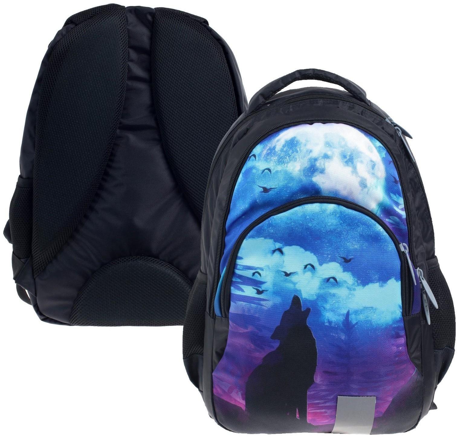 Рюкзак молодёжный, 44 х 30 х 17 см, эргономичная спинка, Calligrata Р 