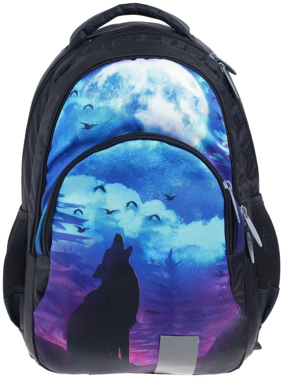 Рюкзак молодёжный, 44 х 30 х 17 см, эргономичная спинка, Calligrata Р 