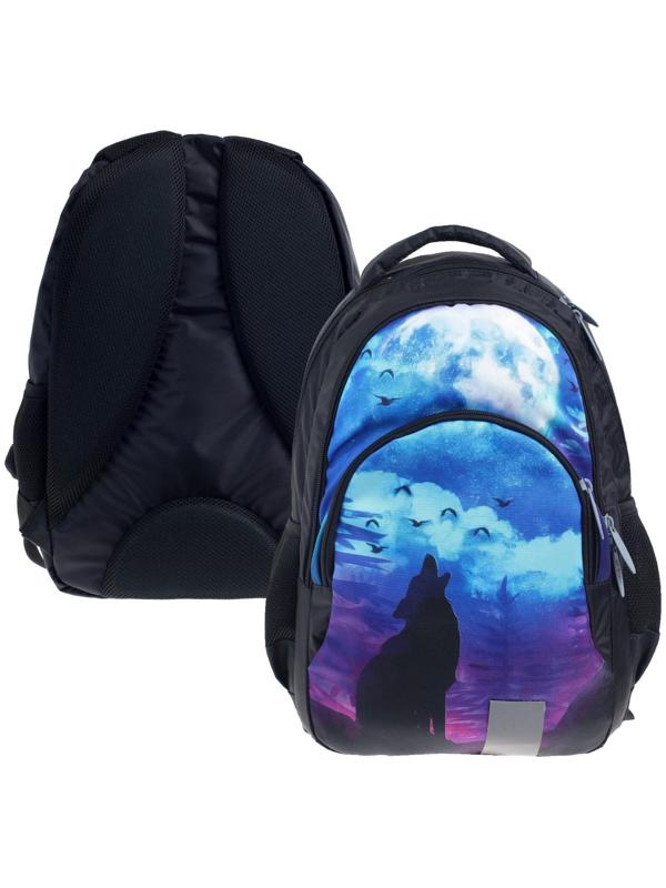 Рюкзак молодёжный, 44 х 30 х 17 см, эргономичная спинка, Calligrata Р 