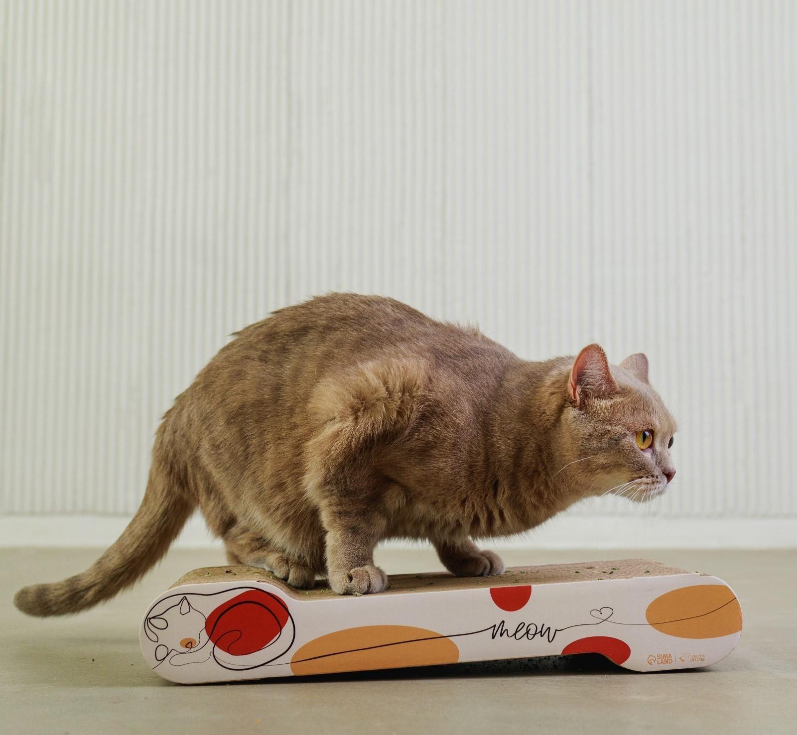 Когтеточка из картона с кошачьей мятой Meow, 45 × 18 см