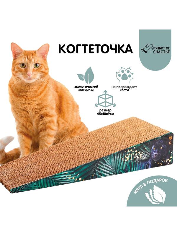 Когтеточка из картона с кошачьей мятой Stay wild, треугольная, 45 × 18 × 9 см
