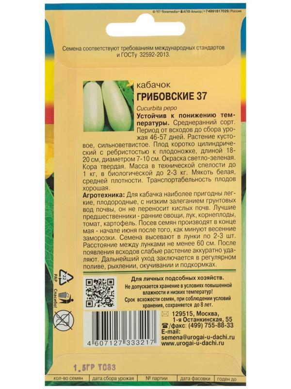 Семена Кабачок 