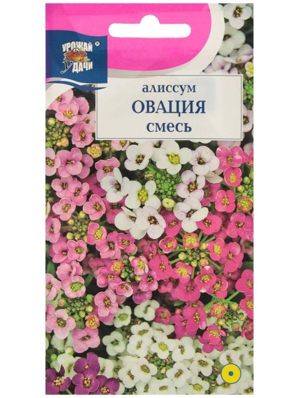 Семена цветов Цв Алиссум 