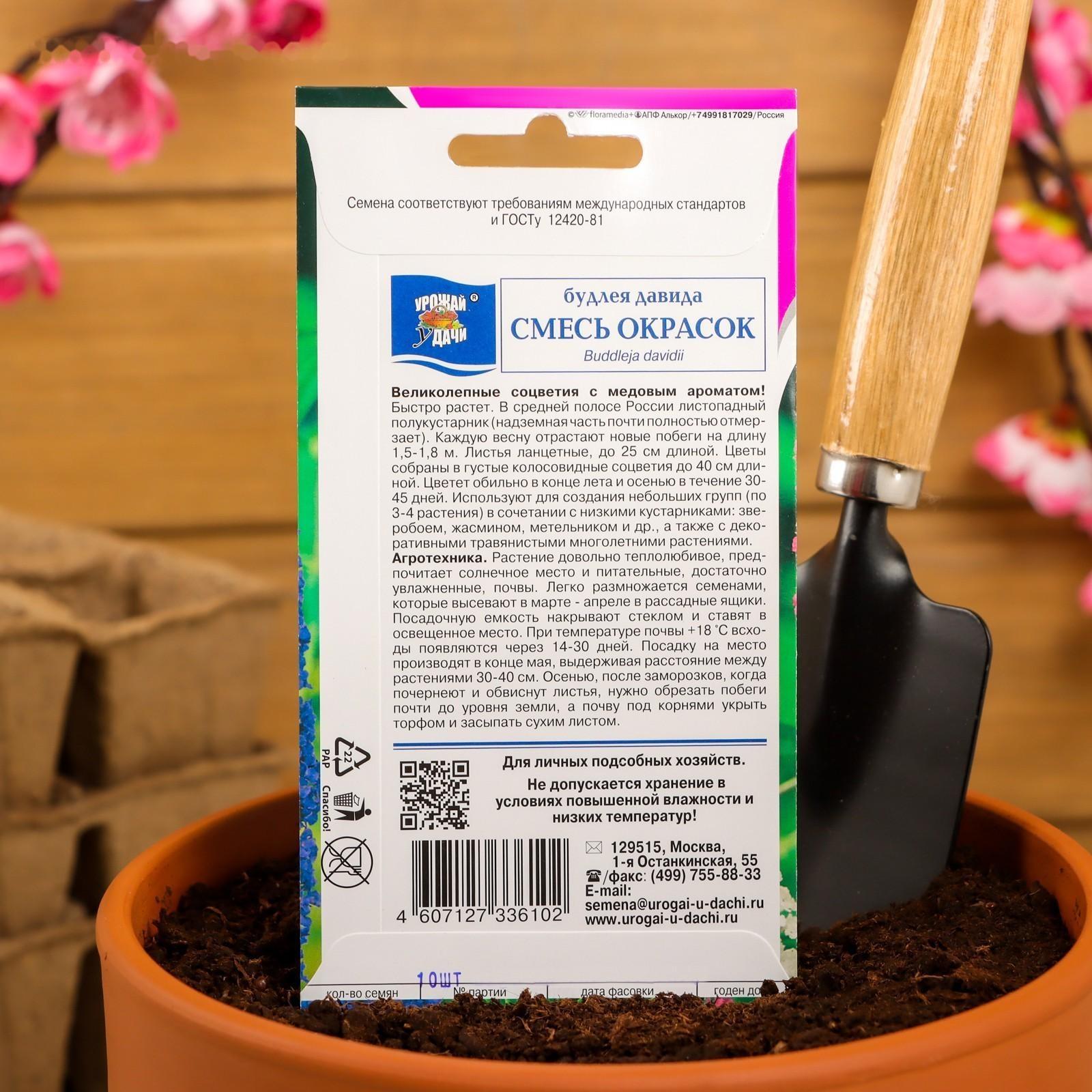 Семена цветов Будлея 