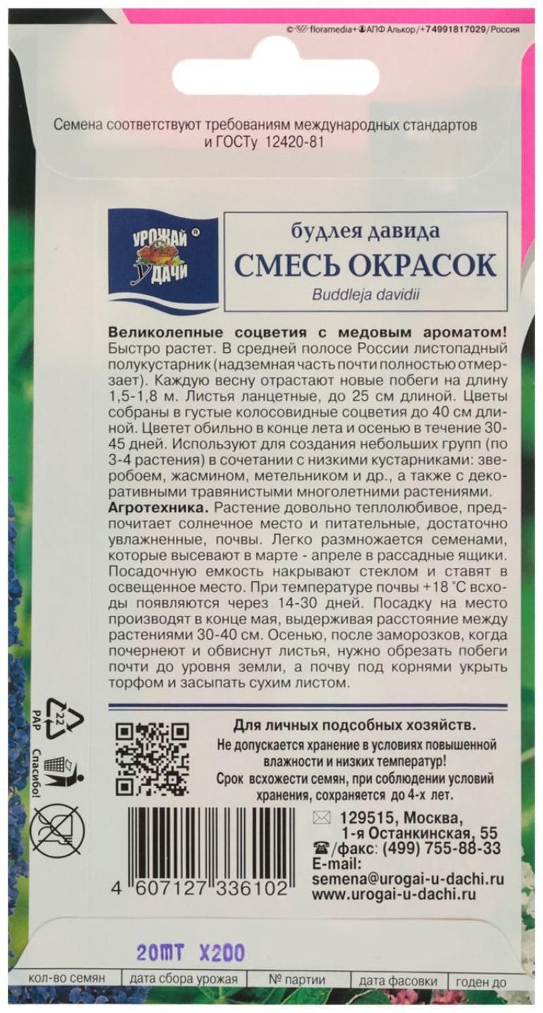 Семена цветов Будлея 