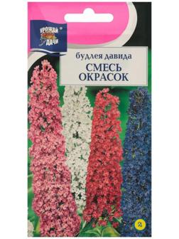 Семена цветов Будлея 