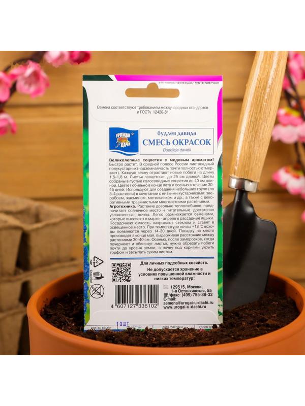 Семена цветов Будлея 