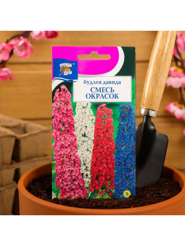 Семена цветов Будлея 