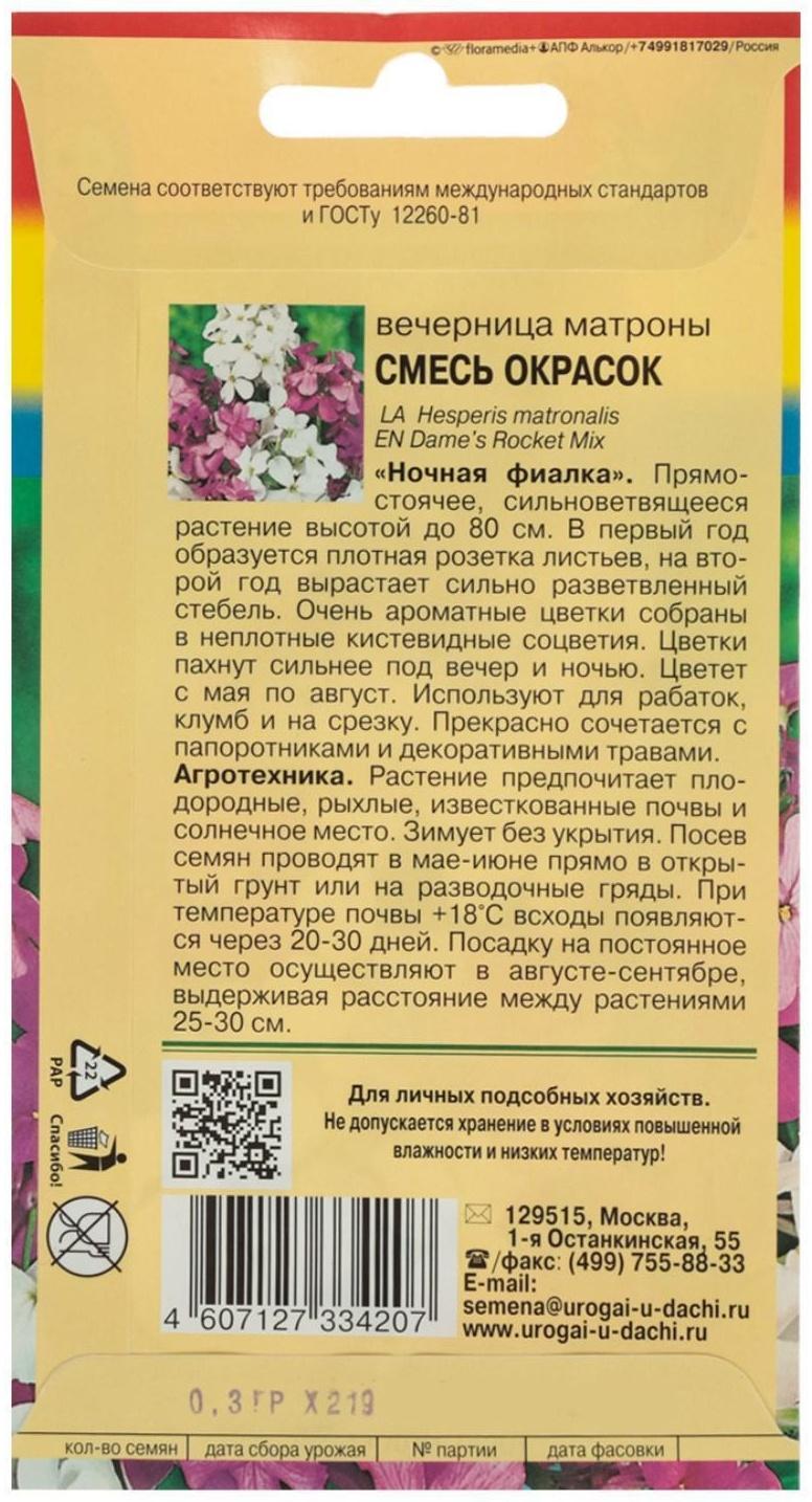 Семена цветов Вечерница 