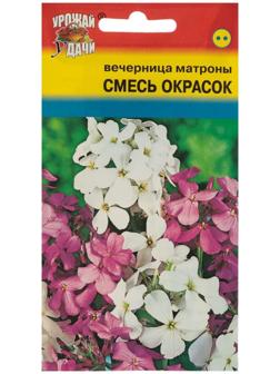 Семена цветов Вечерница 