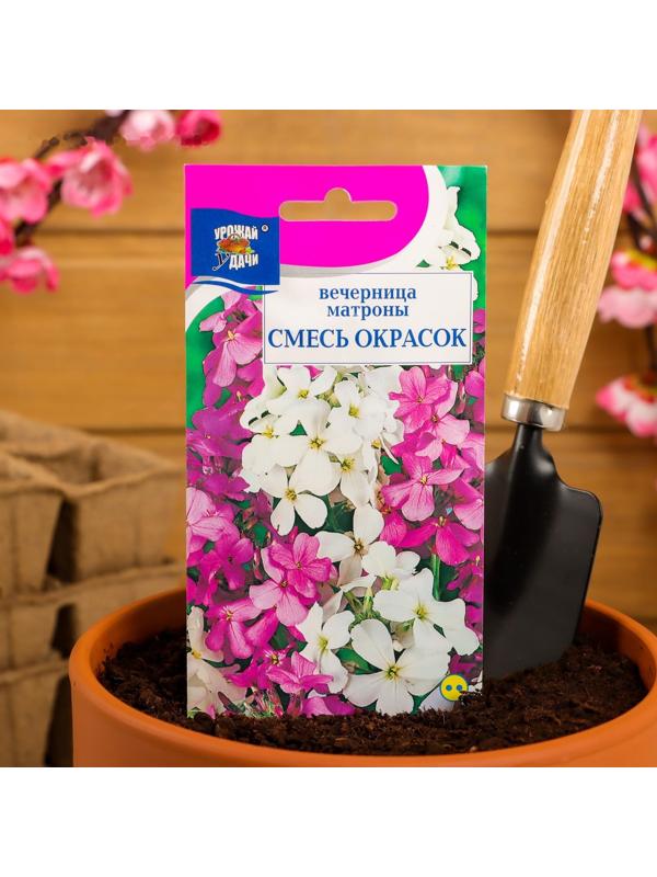 Семена цветов Вечерница 