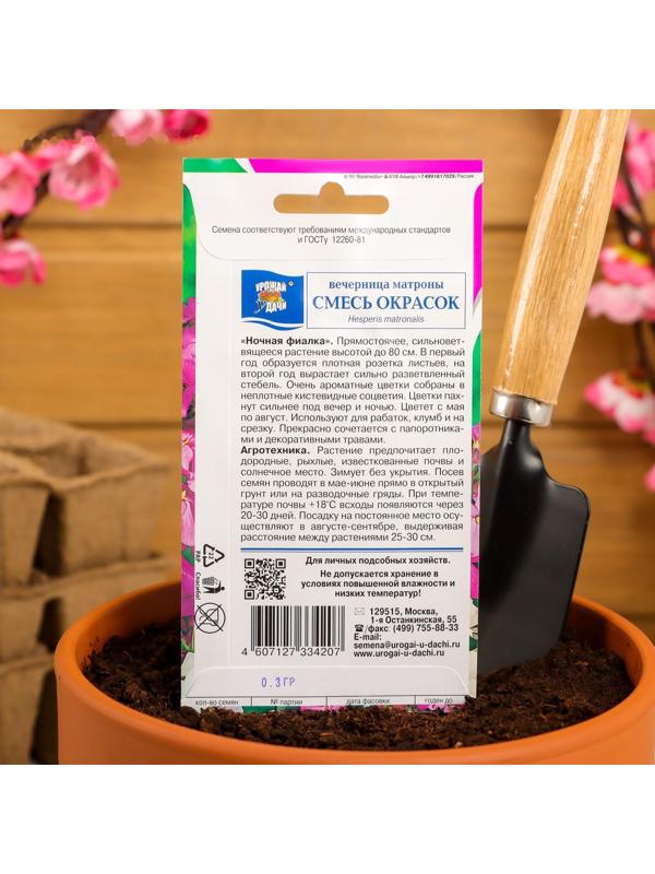 Семена цветов Вечерница 