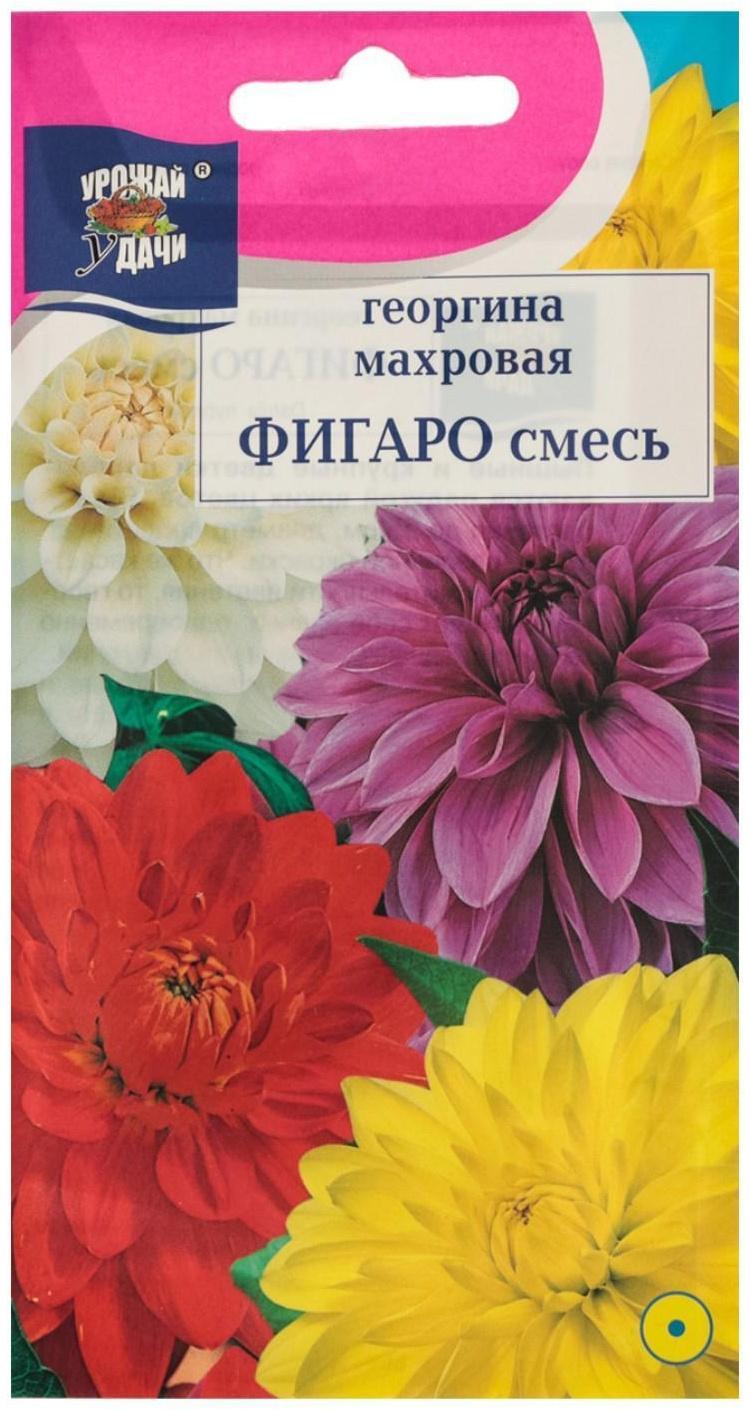 Семена цветов Цв Георгина Смесь 