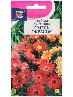 Семена цветов Гербера 