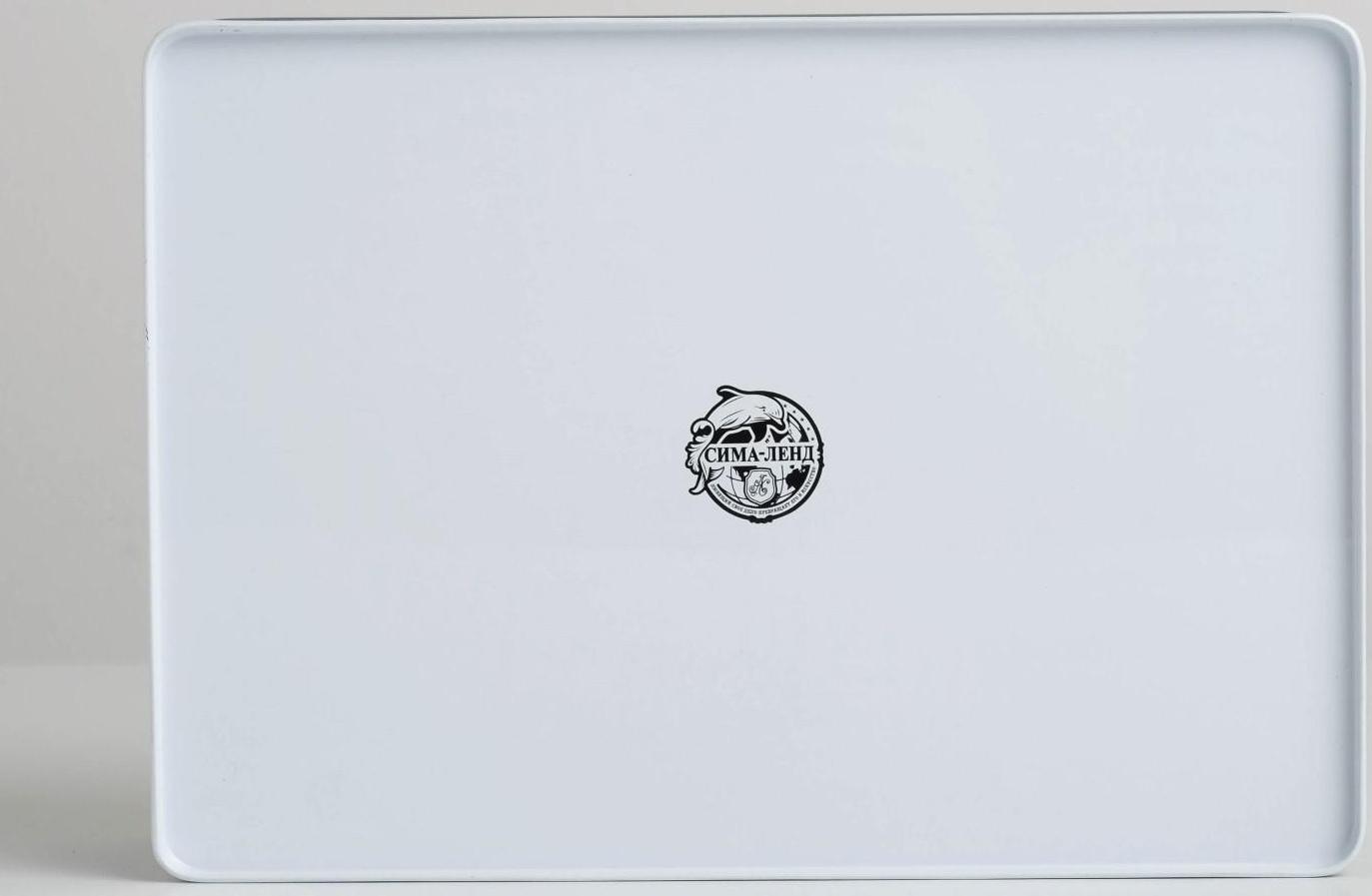 Коробка жестяная подарочная «Брутальность», 26 х 18,5 х 9 см