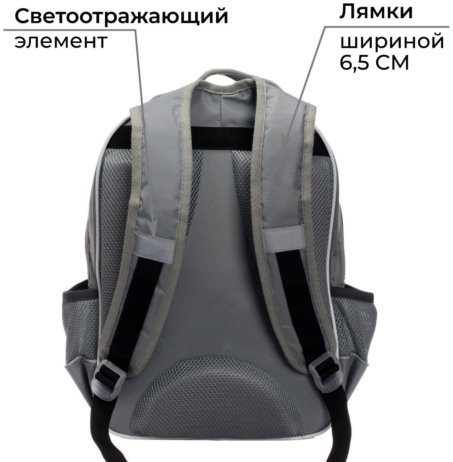 Рюкзак школьный, 36 х 23 х 13 см, эргономичная спинка, Calligrata П 