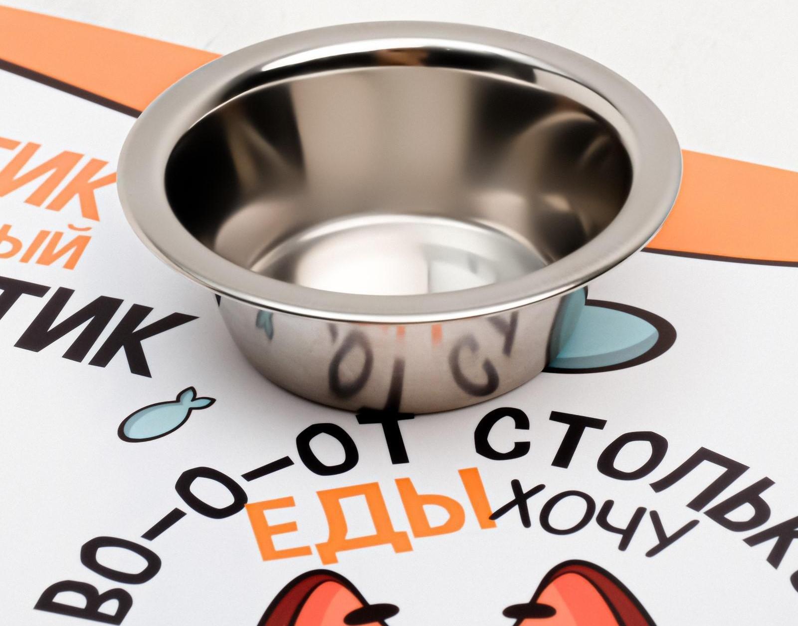 Коврик под миску «Во-о-от столько еды хочу», 43х28 см