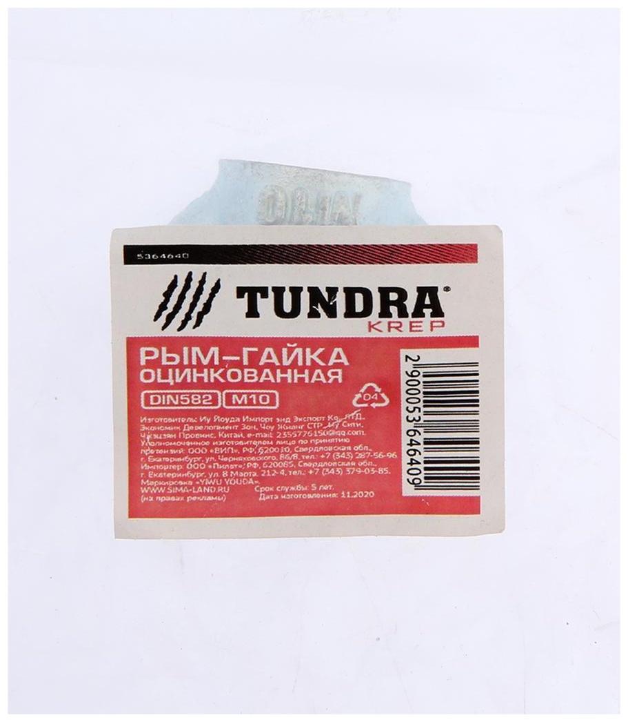 Рым-гайка ТУНДРА krep, DIN582, М10, оцинкованная, 1 шт.