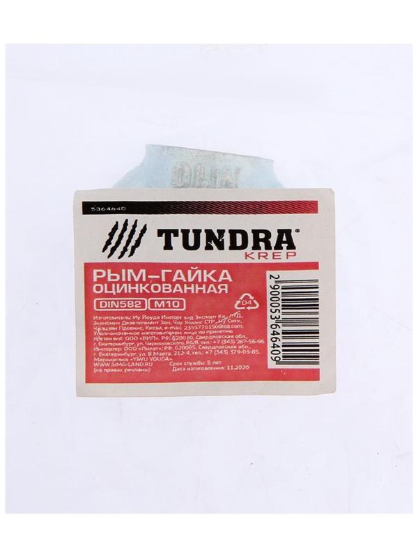 Рым-гайка ТУНДРА krep, DIN582, М10, оцинкованная, 1 шт.