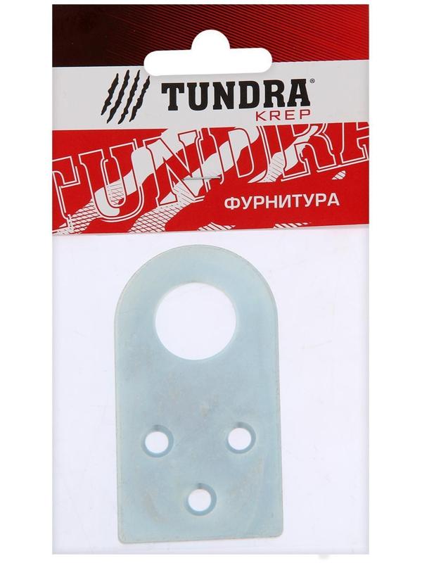 Пробой-ушко ТУНДРА krep, 40х75 мм, цинк, в упаковке 1 шт.