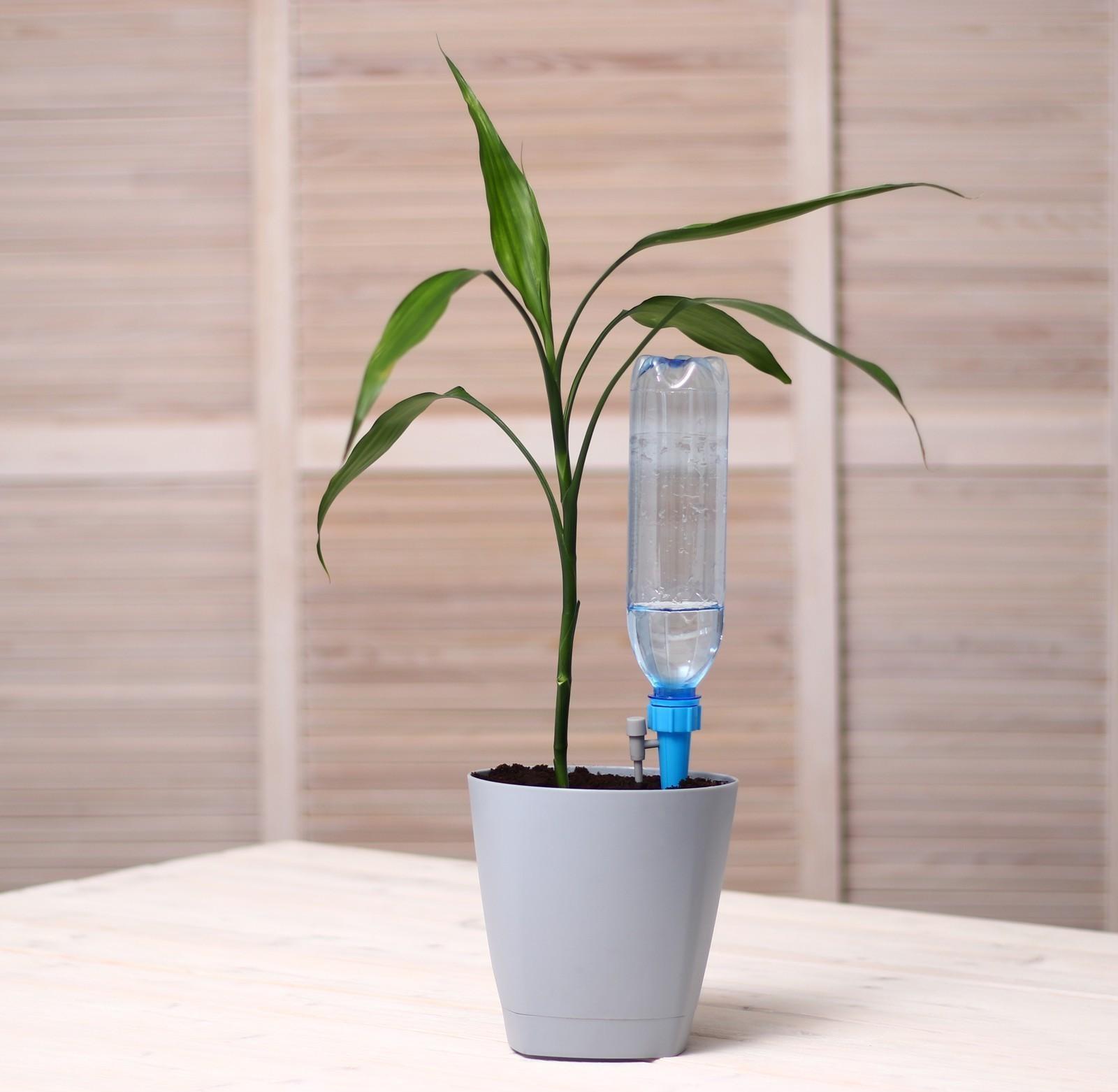 Автополив для комнатных растений, под бутылку, с краном, регулируемый