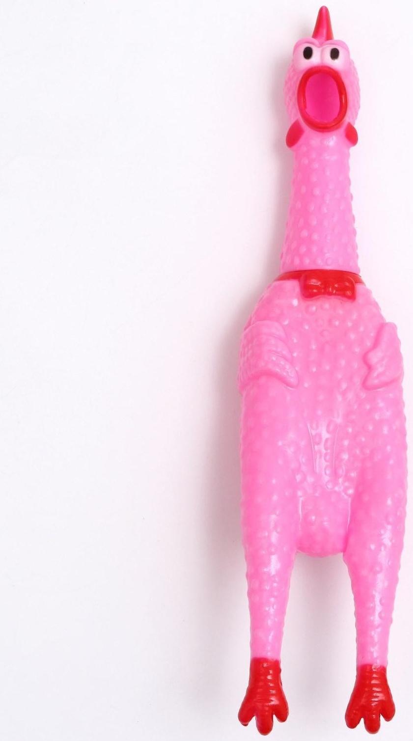 Игрушка пищащая 