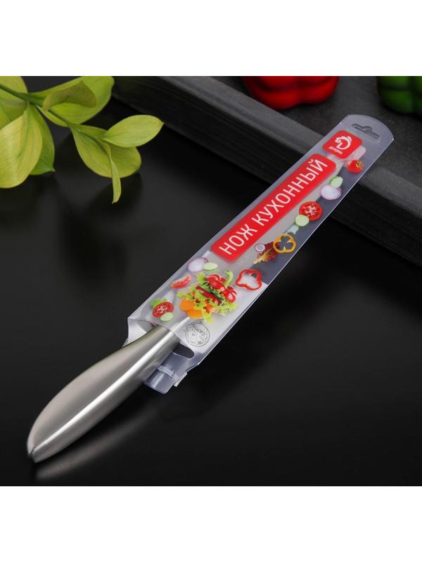 Нож кухонный Доляна Salomon, универсальный, лезвие 12,5 см