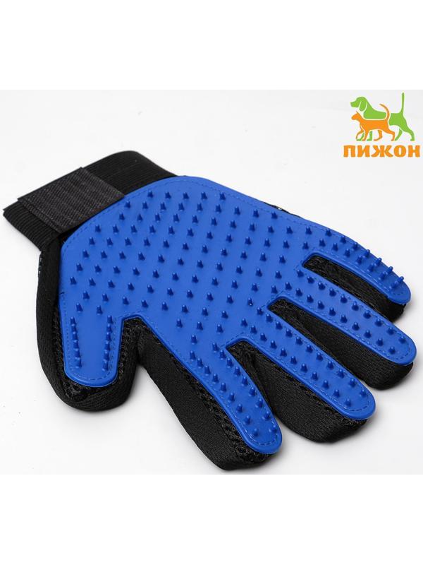 Рукавица - щетка для шерсти на правую руку с удлиненными зубчиками, синяя