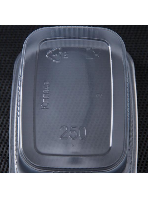 Набор контейнеров, 250 мл, 10,8×8,2 см, 5 шт, с крышкой, цвет прозрачный