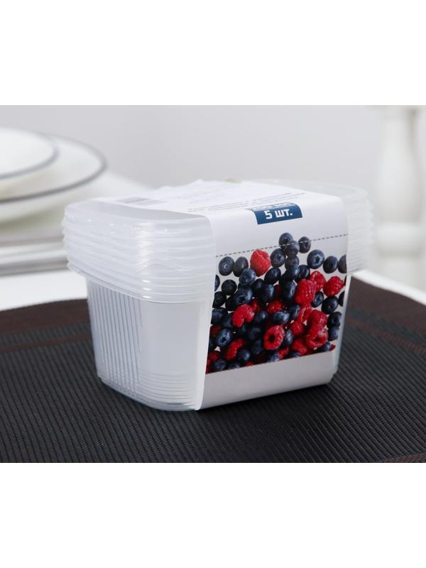 Набор контейнеров, 250 мл, 10,8×8,2 см, 5 шт, с крышкой, цвет прозрачный