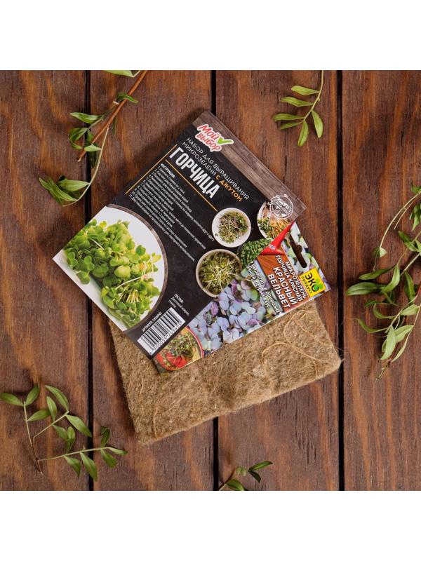 Набор для выращивания микрозелени 