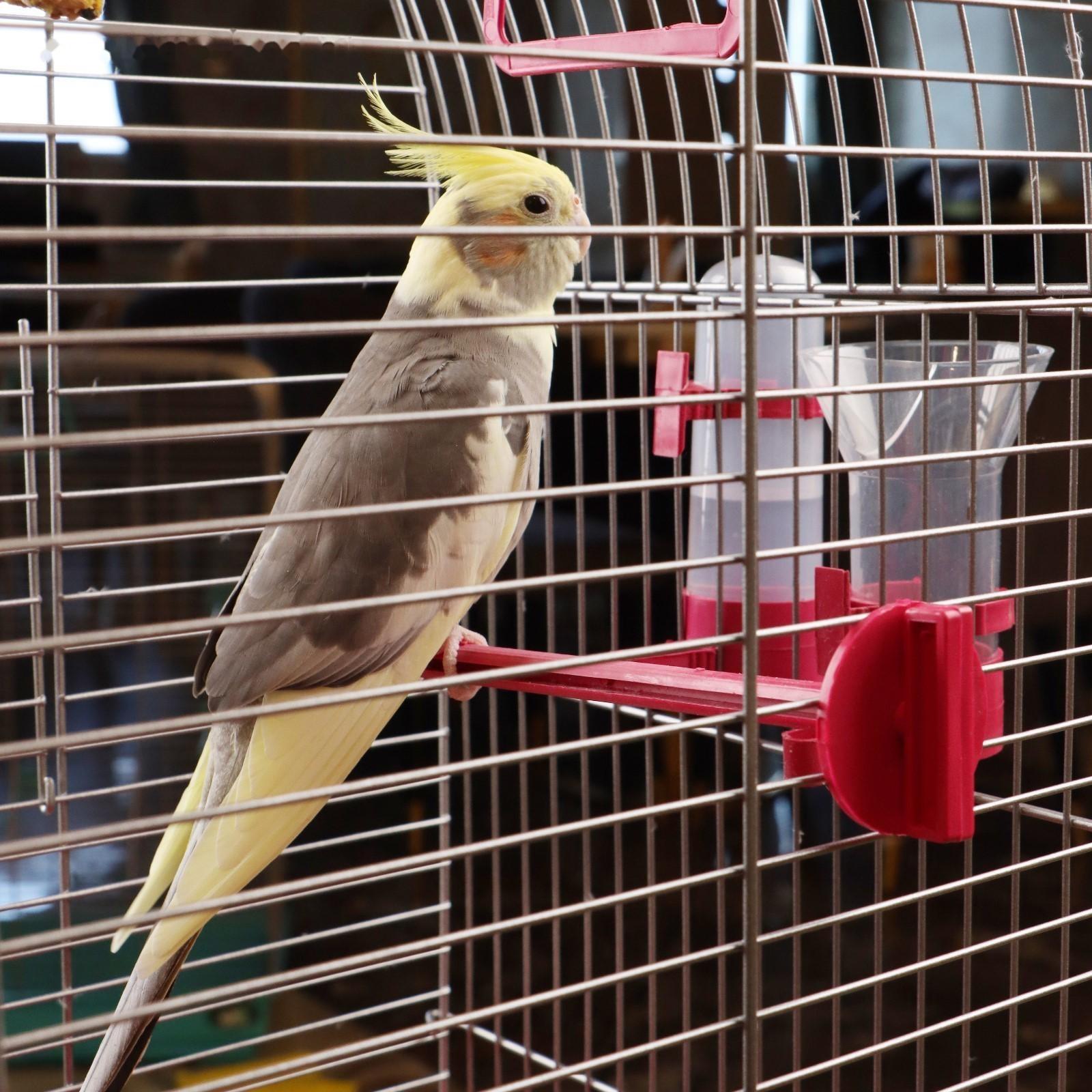 Клетка для птиц 