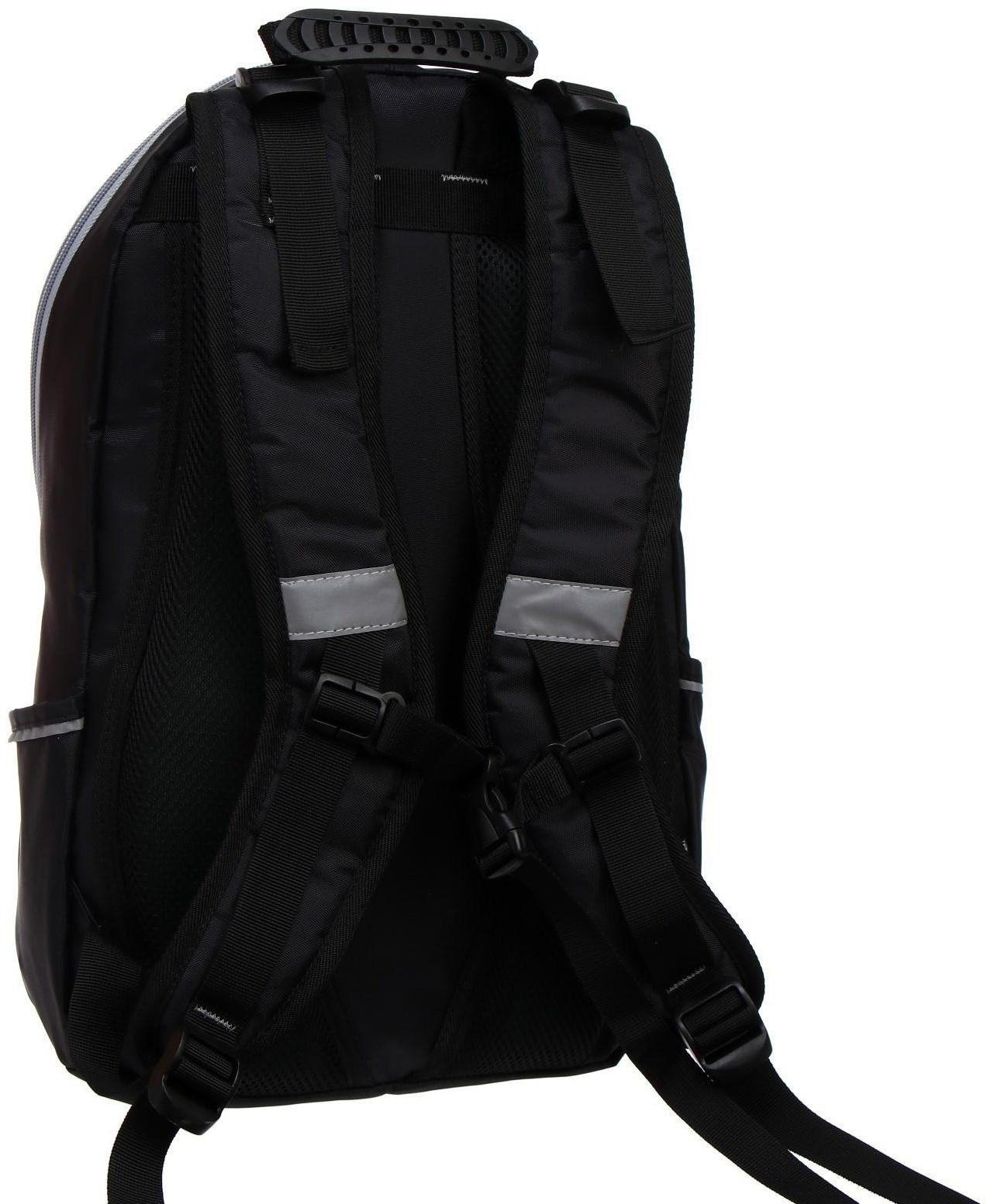 Рюкзак школьный, 37 х 26 х 13 см, эргономичная спинка, Calligrata С 