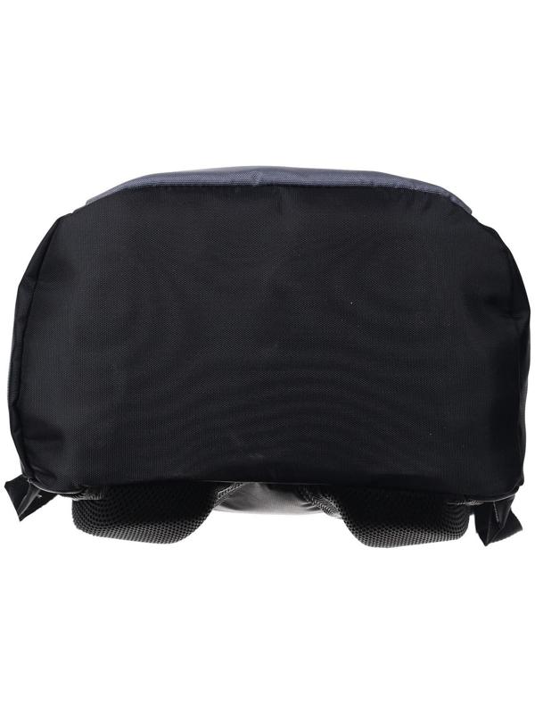 Рюкзак школьный, 37 х 26 х 13 см, эргономичная спинка, Calligrata С 