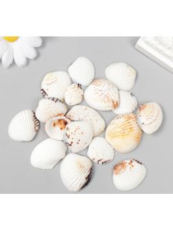 Декоративные ракушки 