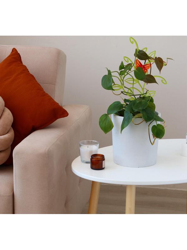 Шпалера, 37 × 19 × 0.5 см, пластик, цвет МИКС, «Бабочка на ветке», Greengo