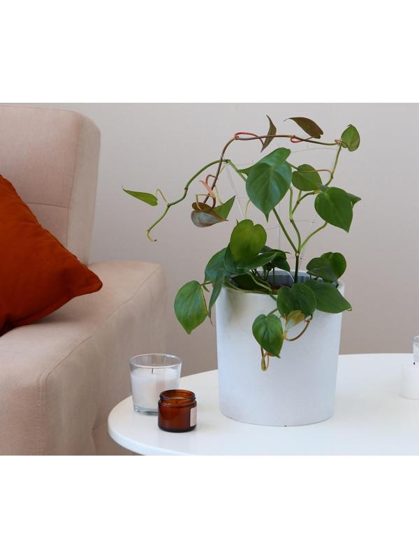 Шпалера, 30 × 19 × 0.5 см, пластик, цвет МИКС, «Гармония», Greengo