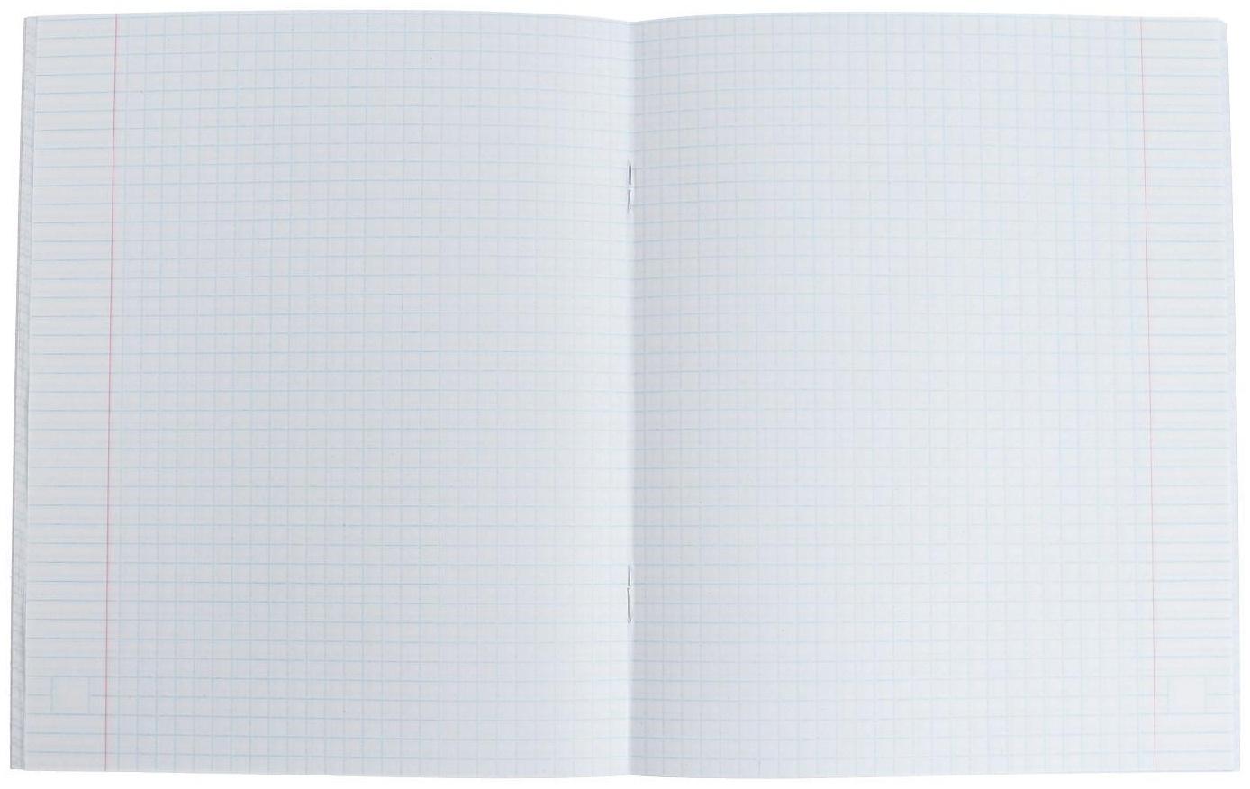 Тетради 48 листов в клетку Calligrata 