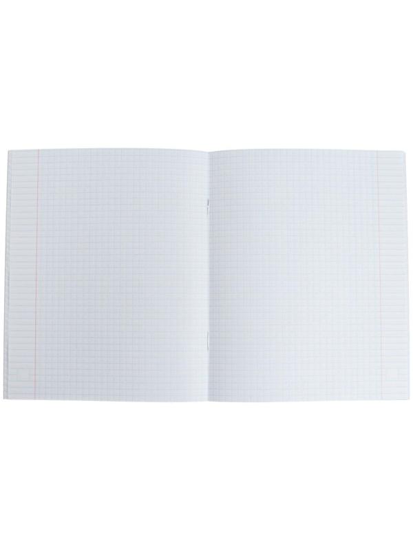 Тетради 48 листов в клетку Calligrata 