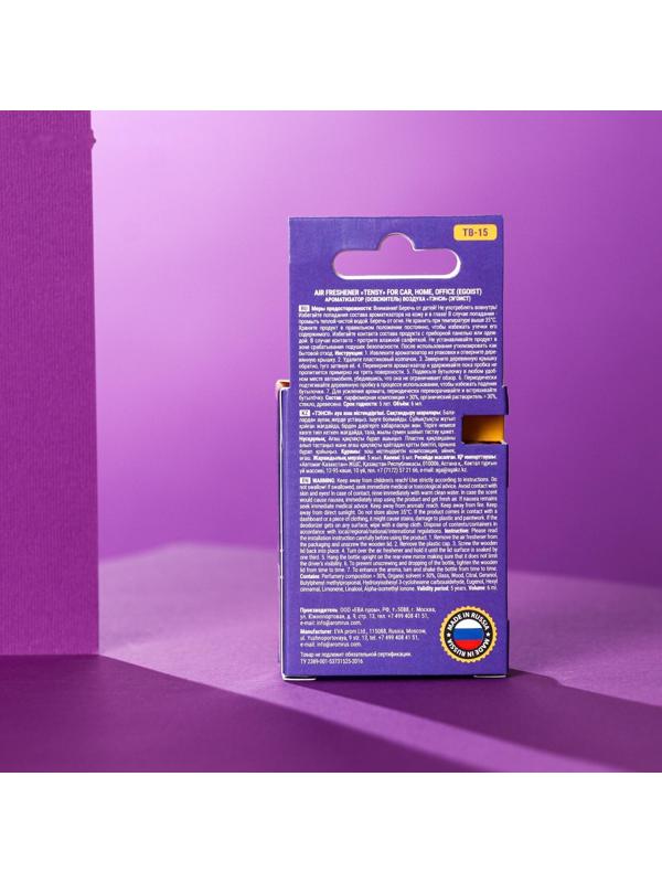Ароматизатор Tensy в бутылочке 6 мл, Эгоист ТВ-15