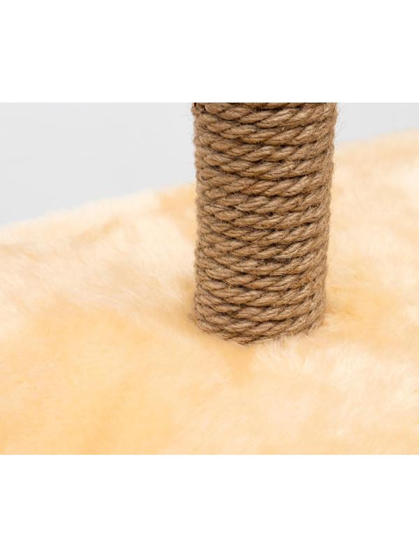 Комплекс-когтеточка угловой 