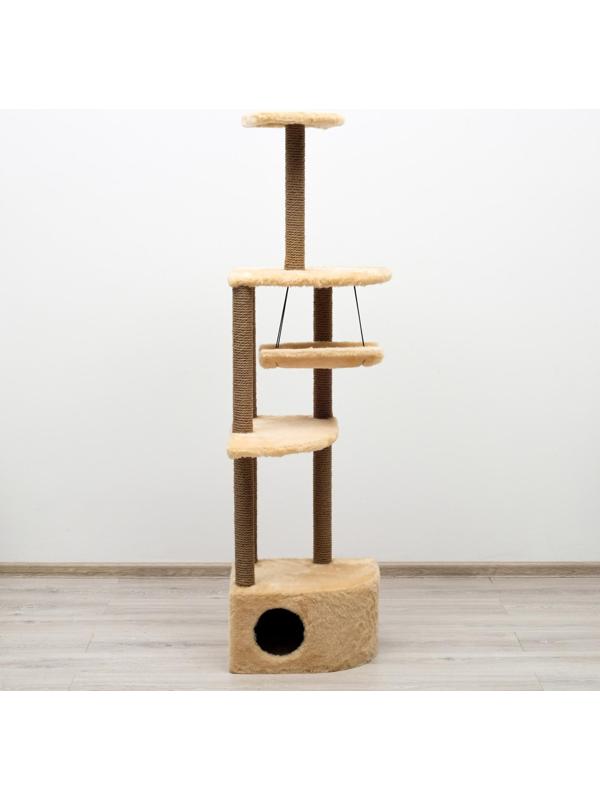 Комплекс-когтеточка угловой 