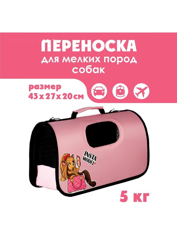 Сумка - переноска раскладная, каркасная Insta model 43x20x27 см